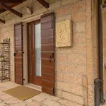 Collina Degli Ulivi