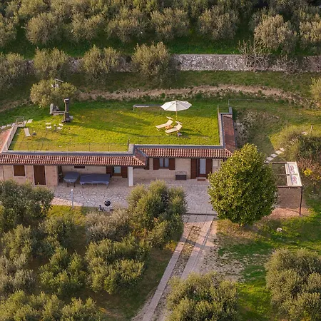 Collina Degli Ulivi Apartment *